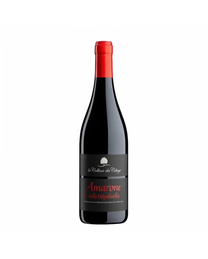 Amarone della Valpolicella 2018 Magnum - La Collina dei Ciliegi