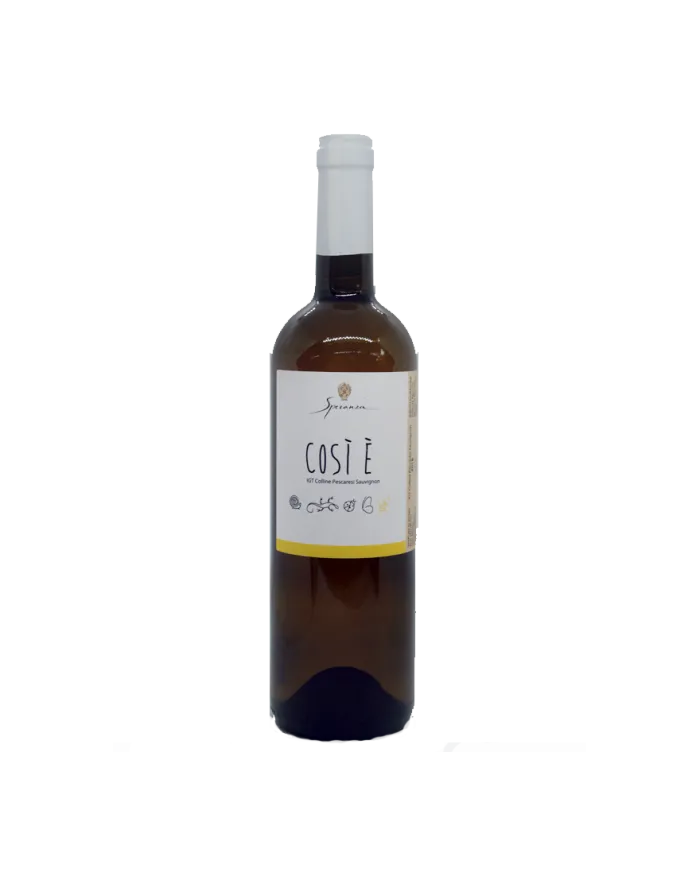 Così è Sauvignon IGT Colline Pescaresi 2018 - Speranza