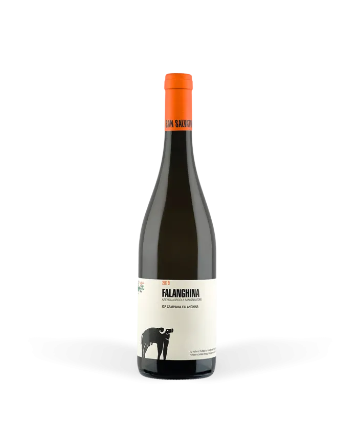 Falanghina Campania IGP 2021 - San Salvatore 1988