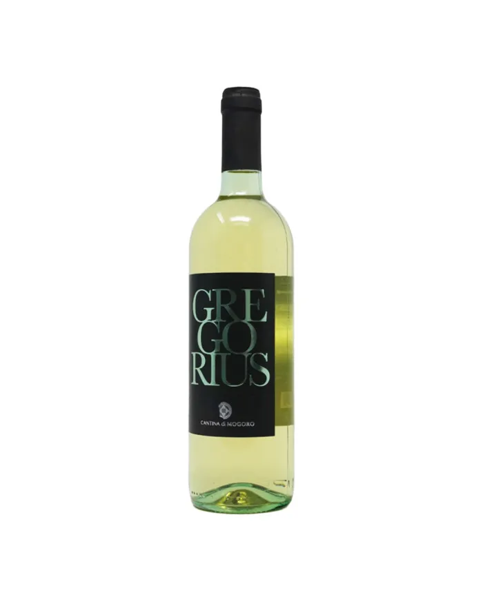 Gregorius vino Bianco 2024 - Cantina di Mogoro