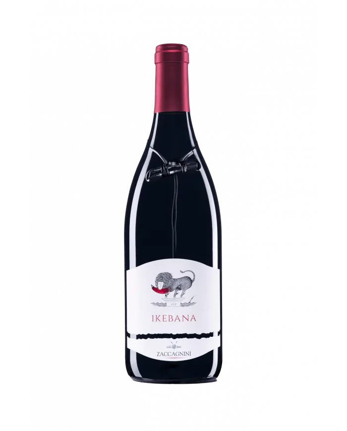 Ikebana Novello Colline Pescaresi IGT 2023 - Cantina Zaccagnini