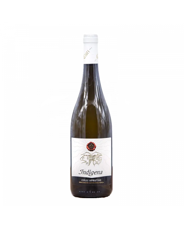 Indigena Colli Aprutini IGT 2021 Bio - Cantina Cioti