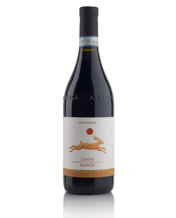 Langhe Barbera Amphorae DOC 2020 - Cascina Corte