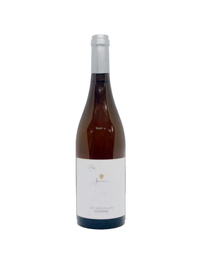 LULI Pecorino Colline Pescaresi IGT 2021 - Speranza