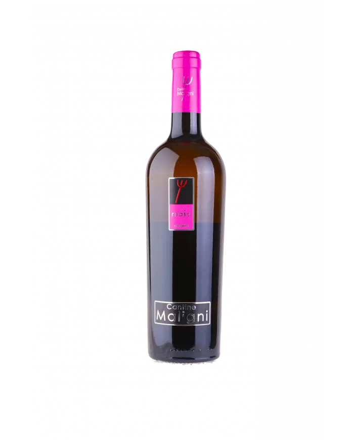 Maia Pecorino Colline Teatine 2021 IGT - Cantine Maligni