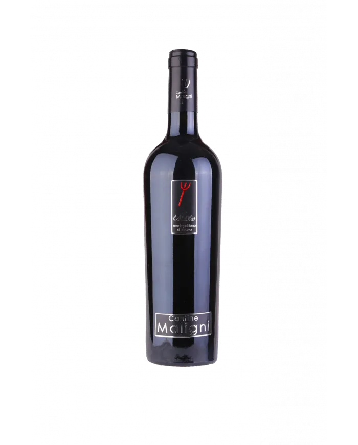 Mastro Montepulciano d'Abruzzo D.O.C. 2018 - Cantine Maligni