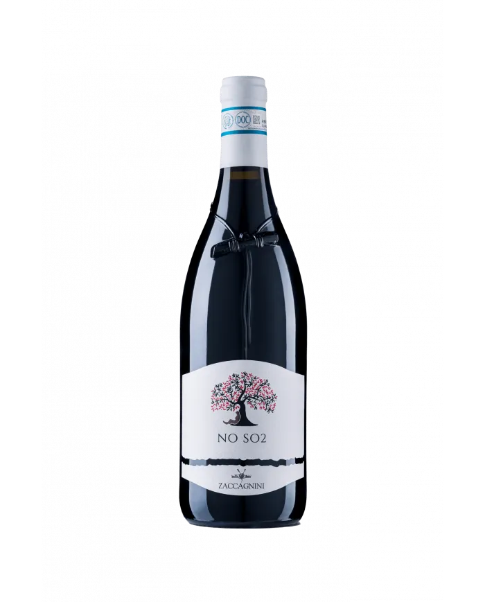 NO SO2 Montepulciano d’Abruzzo DOC 2020 - Cantina Zaccagnini