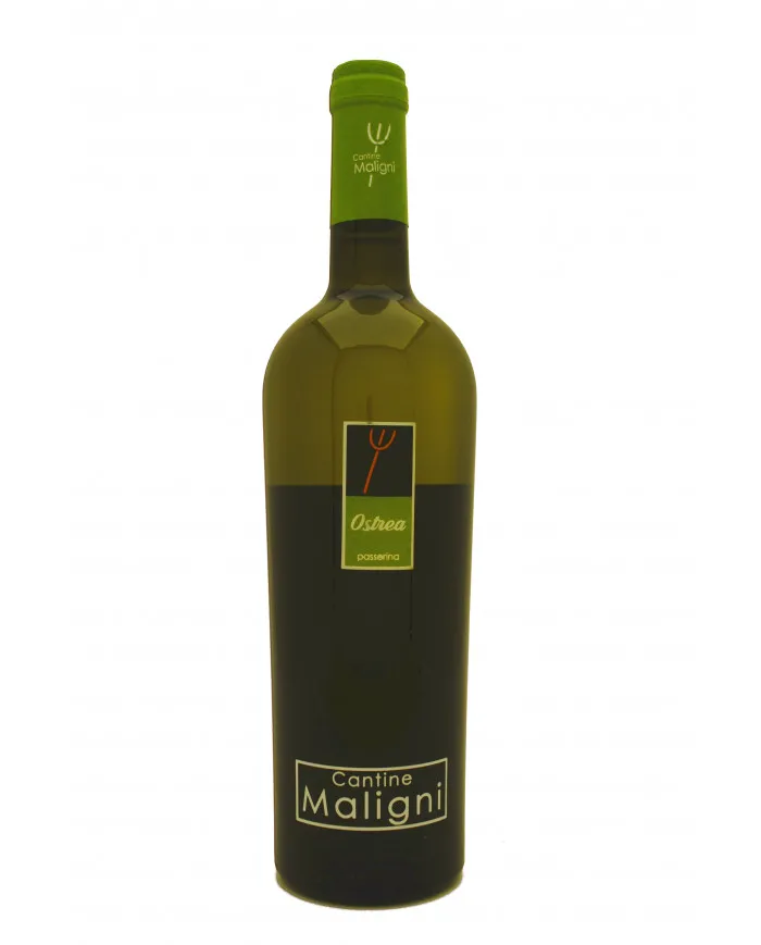 Ostrea Passerina IGT 2021 - Cantine Maligni