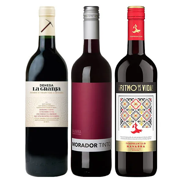 TASTING-PAKET TEMPRANILLO Fernandez Dehesa la Granja + Morador + Ritmo de la Vida 3x0,75L