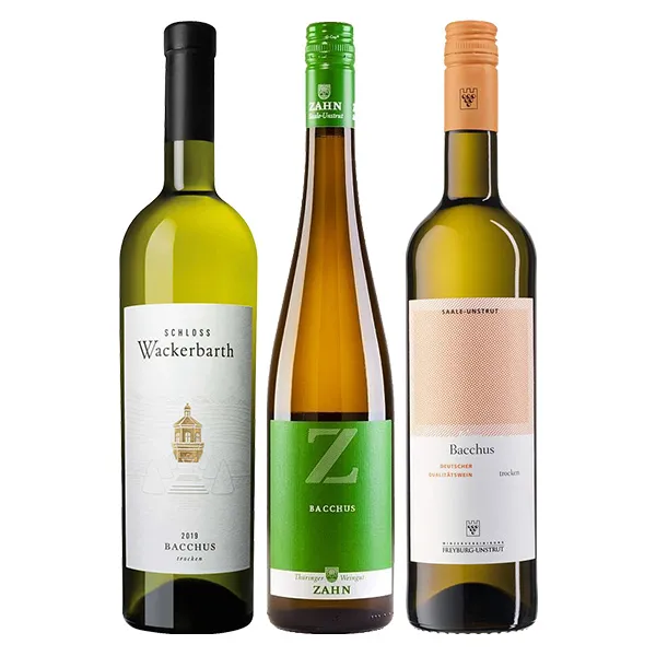 TASTING-PAKET BACCHUS Schloss Wackerbarth + Weingut Zahn + Winzervereinigung Freyburg 3x0,75L