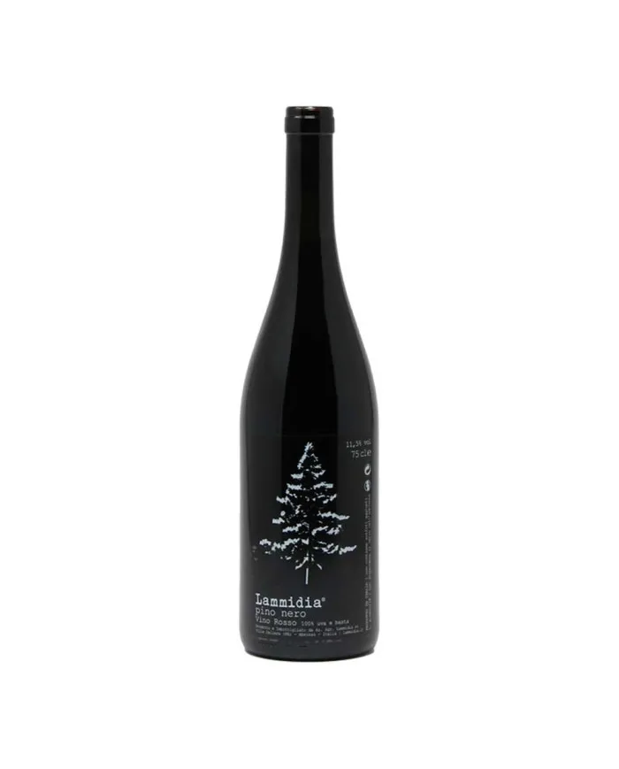 Pino Nero in Anfora 2022 – Lammidia