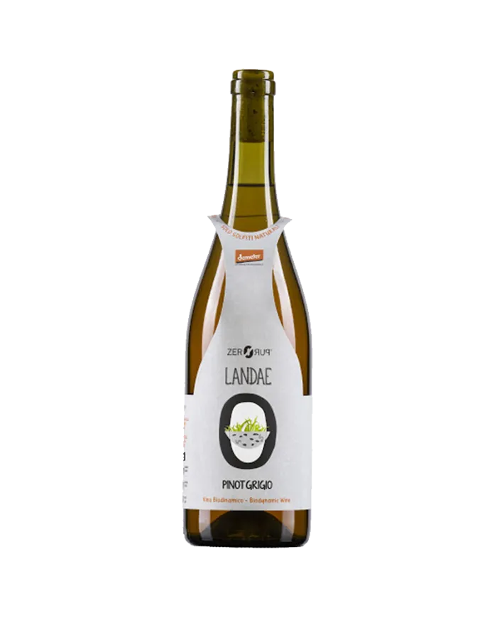 Pinot Grigio Landae Zero Puro 2024 - Cantina Orsogna