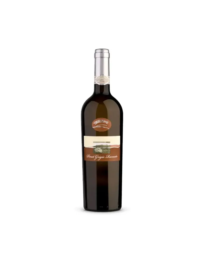 Pinot Grigio Ramato Venezia D.O.C Selezione Terre Piane - Ornella Bellia