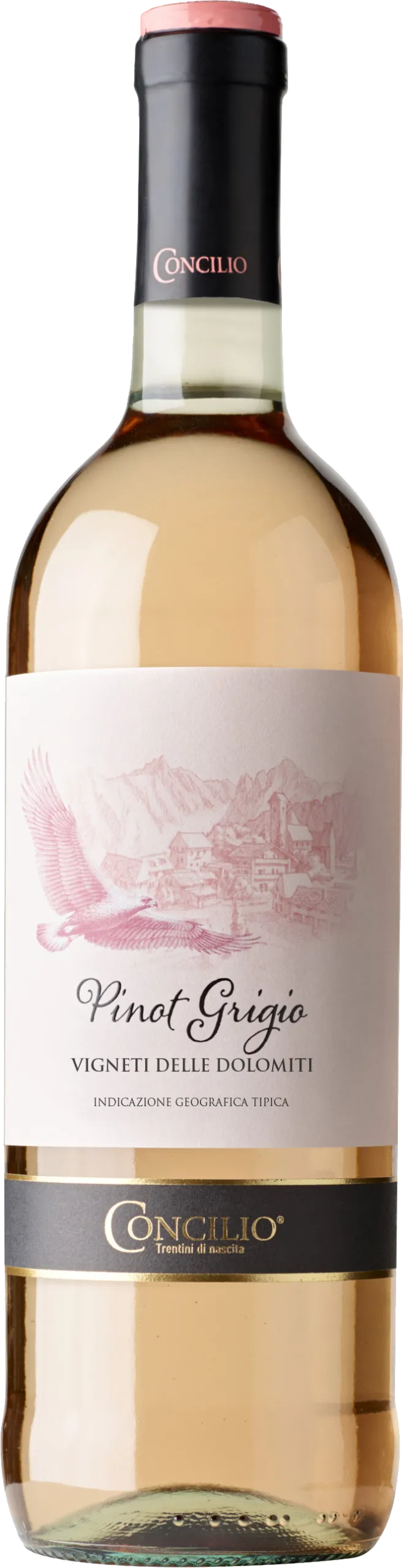 Classici Pinot Grigio delle Dolomiti Rosé IGT 2023