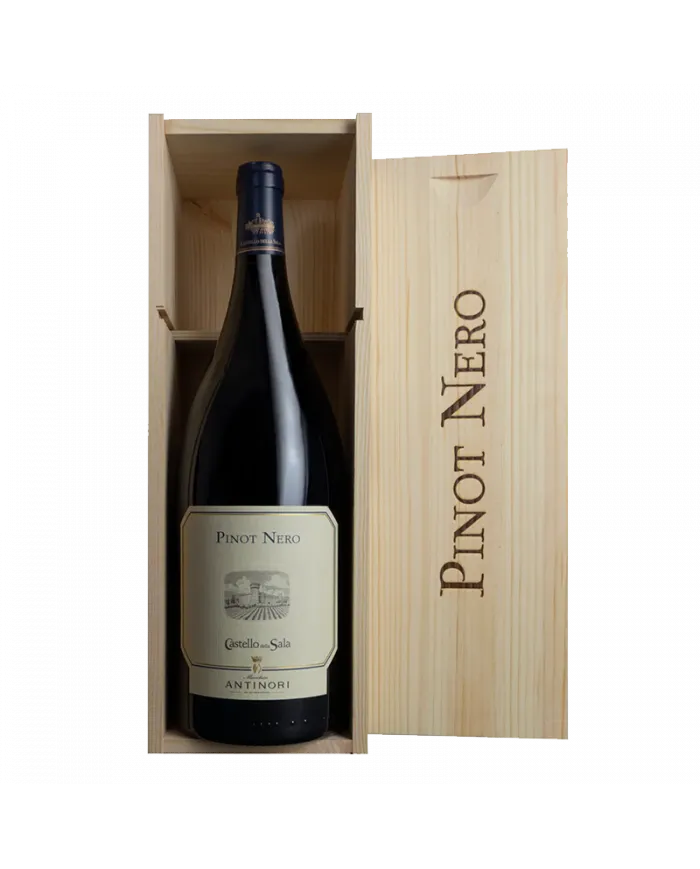 Pinot Nero della Sala 2019 Magnum Castello della Sala - Antinori