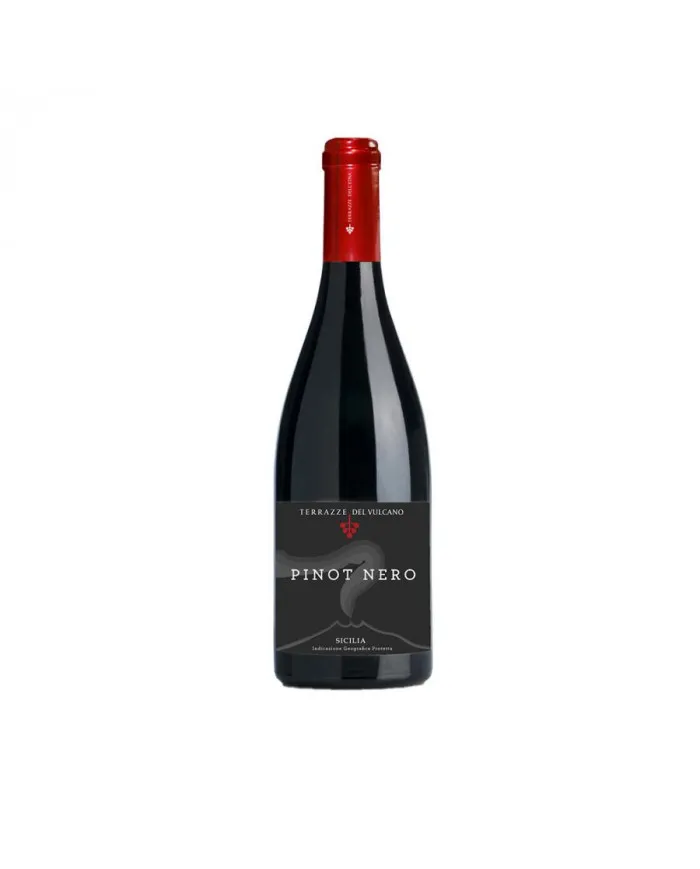Pinot Nero Sicilia 2016 - TERRAZZE DELL'ETNA