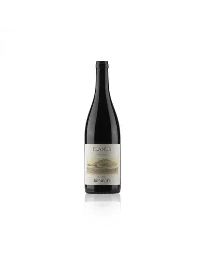 Planus Igt Rosso Vigneti delle Dolomiti 2019 Cantina Dorigati