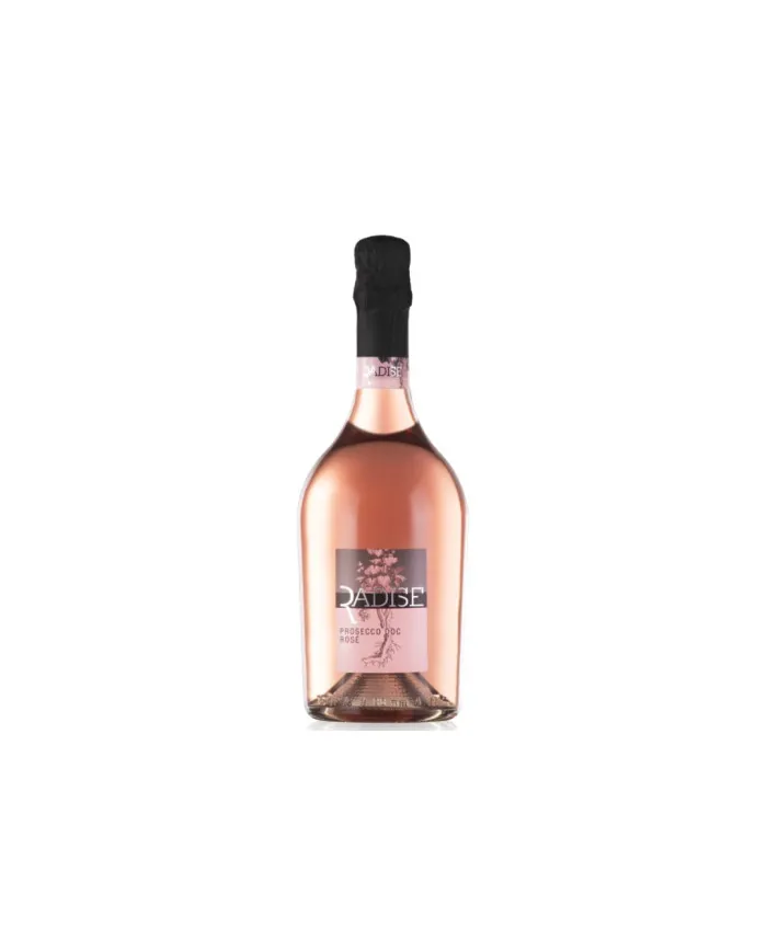 Prosecco Radise Rose' Brut - San Martino