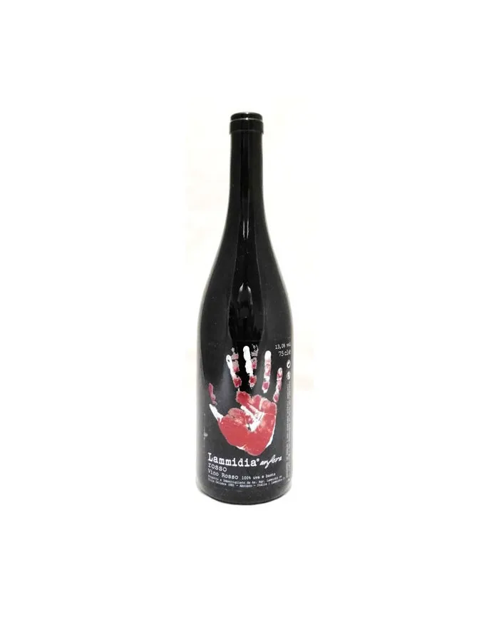 Rosso Anfora 2021 magnum - Lammidia