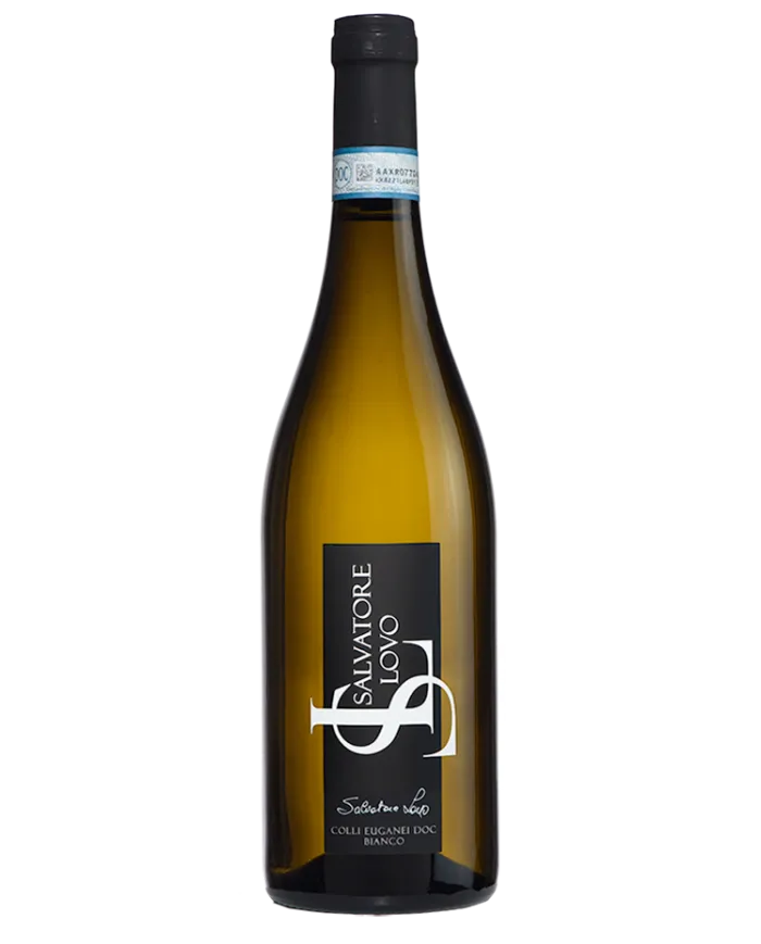 SALVATORE LOVO Colli Euganei Bianco DOC 2023 - Terre Gaie
