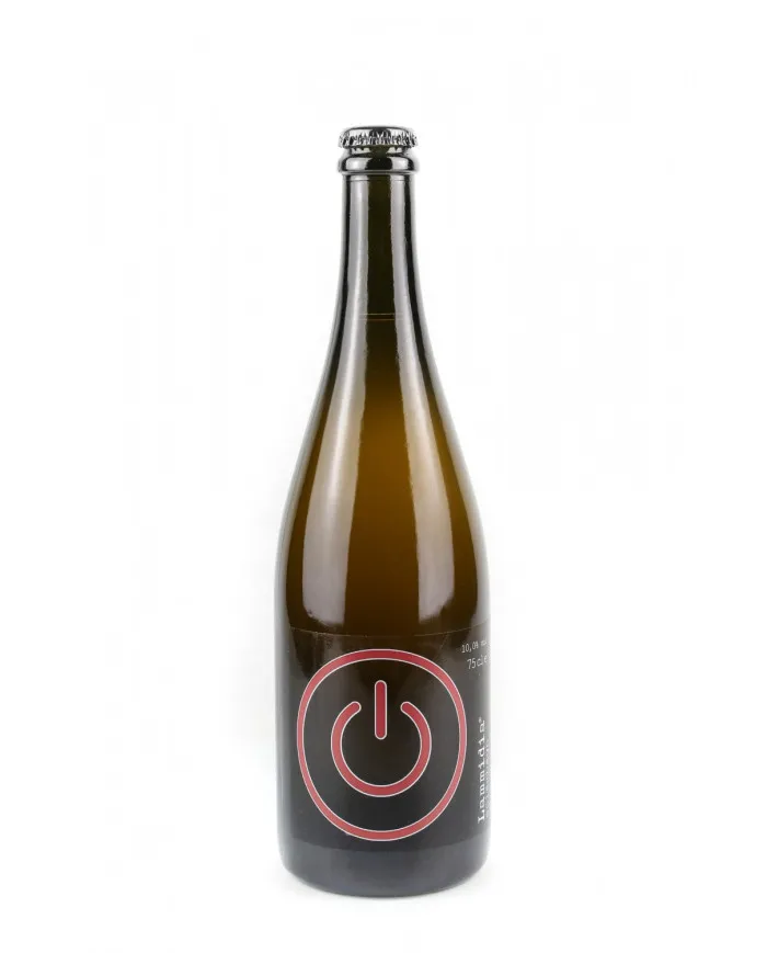 Sciambagn 2017 - Lammidia