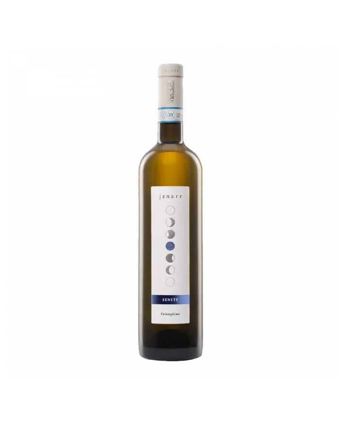 Senete Falanghina del Sannio DOP 2021 - La Guardiense