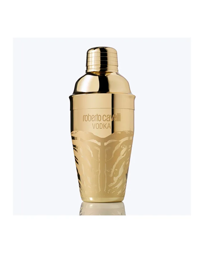 SHAKER COBBLER - Roberto Cavalli
