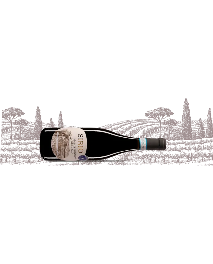 Sirio Montepulciano d'Abruzzo Doc 2023 - San Lorenzo