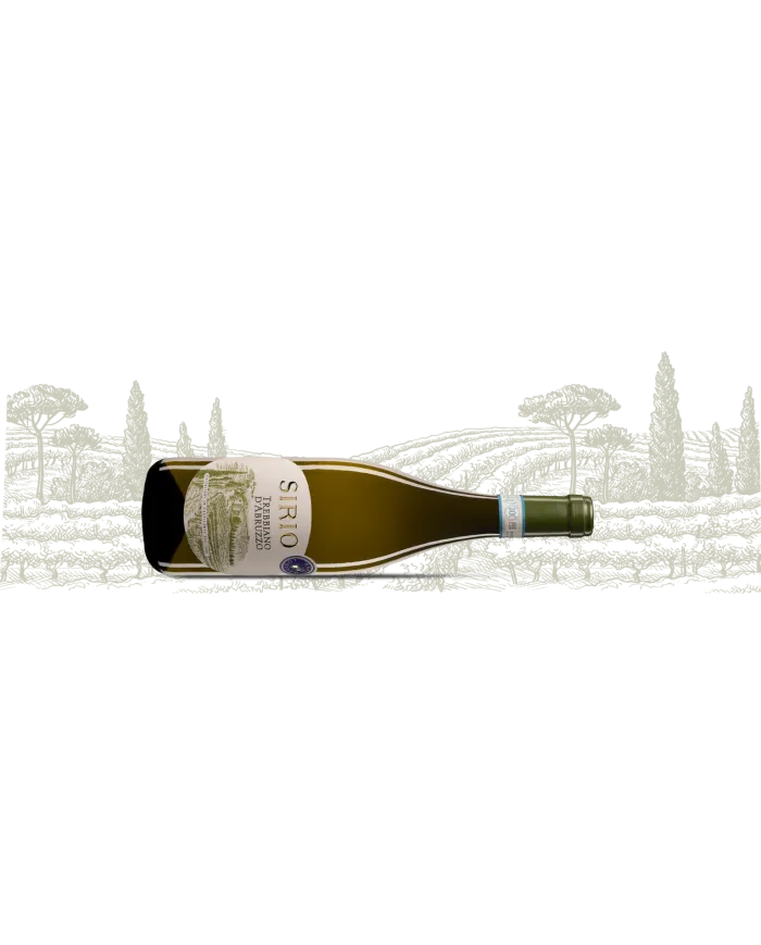 Sirio Trebbiano d'Abruzzo DOC 2024 - San Lorenzo