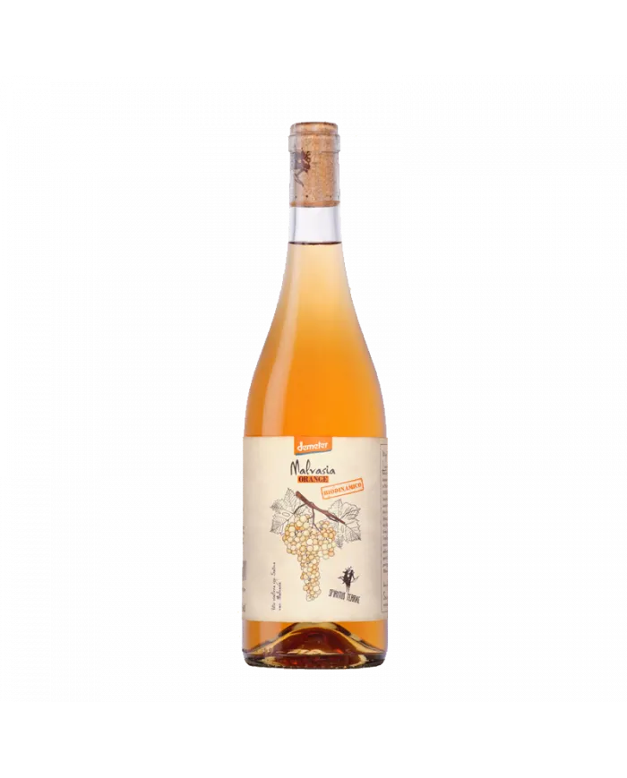 Spiritus Terrae Malvasia Orange 2021 - Cantina Orsogna