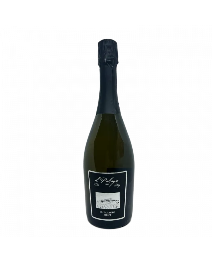 Spumante Brut - I Vini di Sting Il Palagio