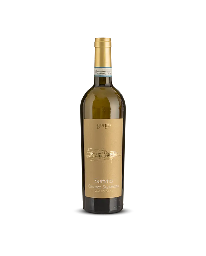 Summa Bianco di Custoza Superiore Doc 2021 - Azienda Agricola Gorgo
