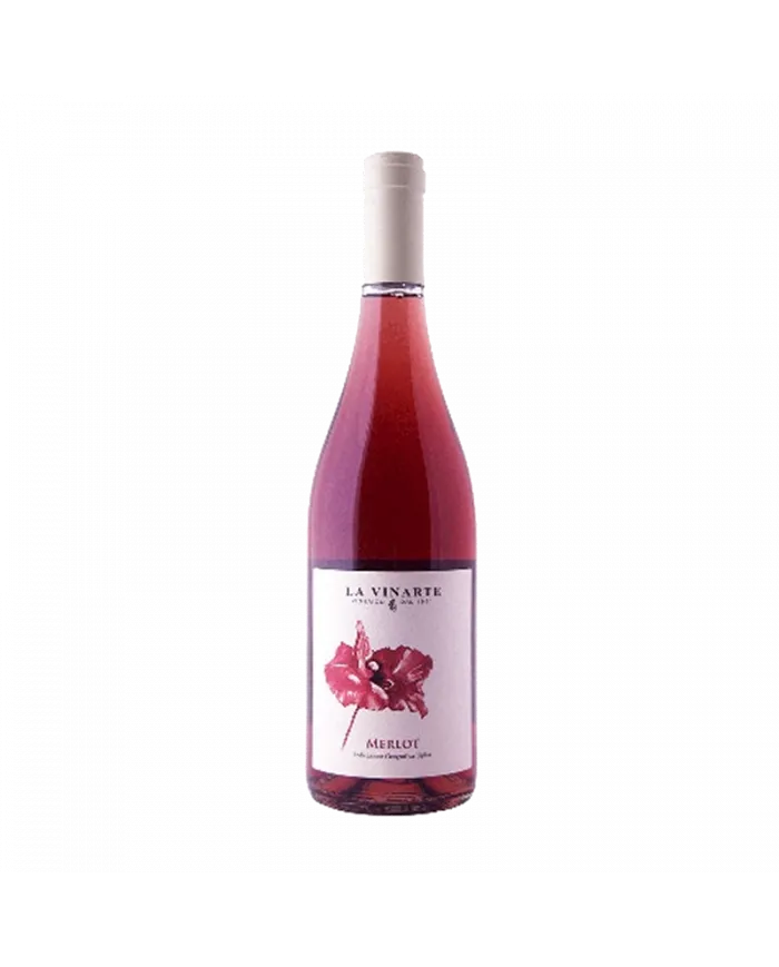 Terre di Chieti Merlot Rosato IGT 2022 - La Vinarte