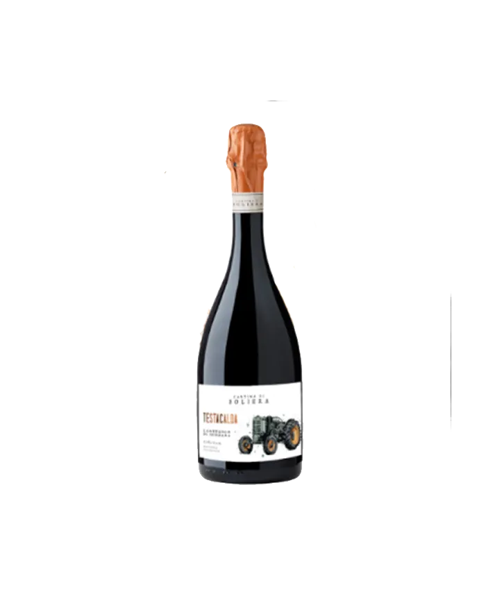 Testacalda spumante metodo classico lambrusco di sorbara DOC - Cantina di Soliera