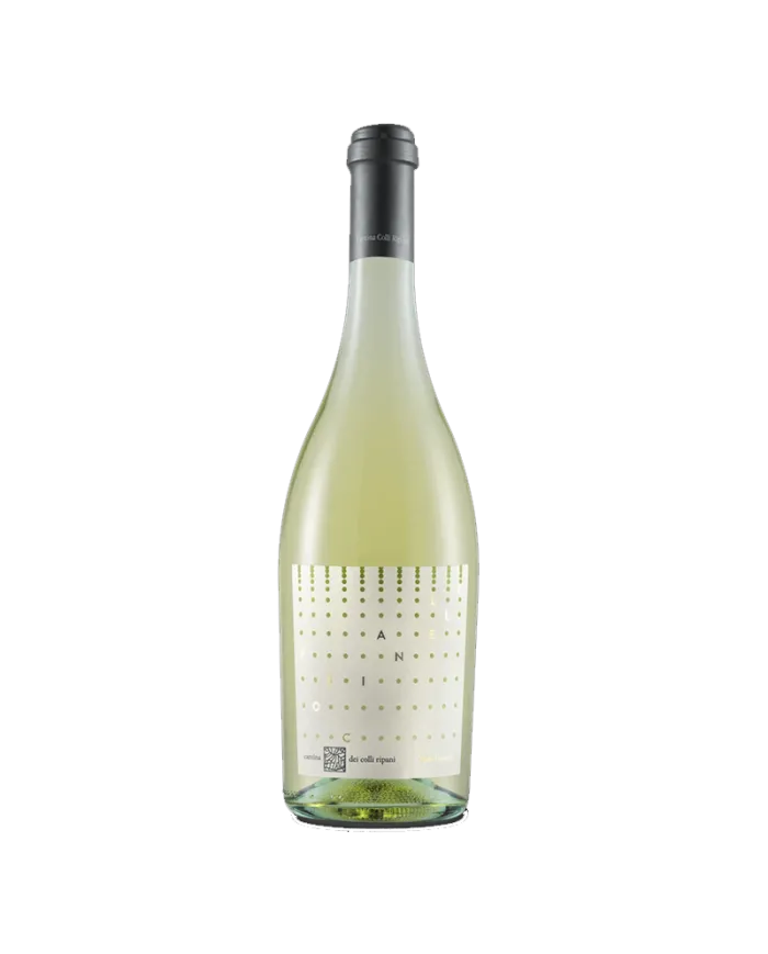 Toscianello - Frizzante Bianco - Cantina Dei Colli Ripani