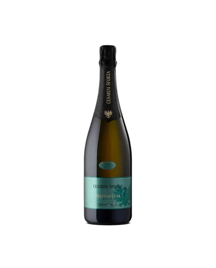 Tridentvm Spumante Brut Metodo Classico Trento DOC 2015 Magnum - Cesarini Sforza