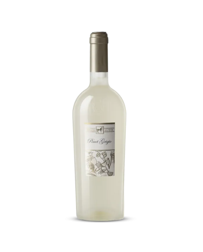 ULISSE Pinot Grigio Terre di Chieti IGP 2023 Premium - Tenuta Ulisse