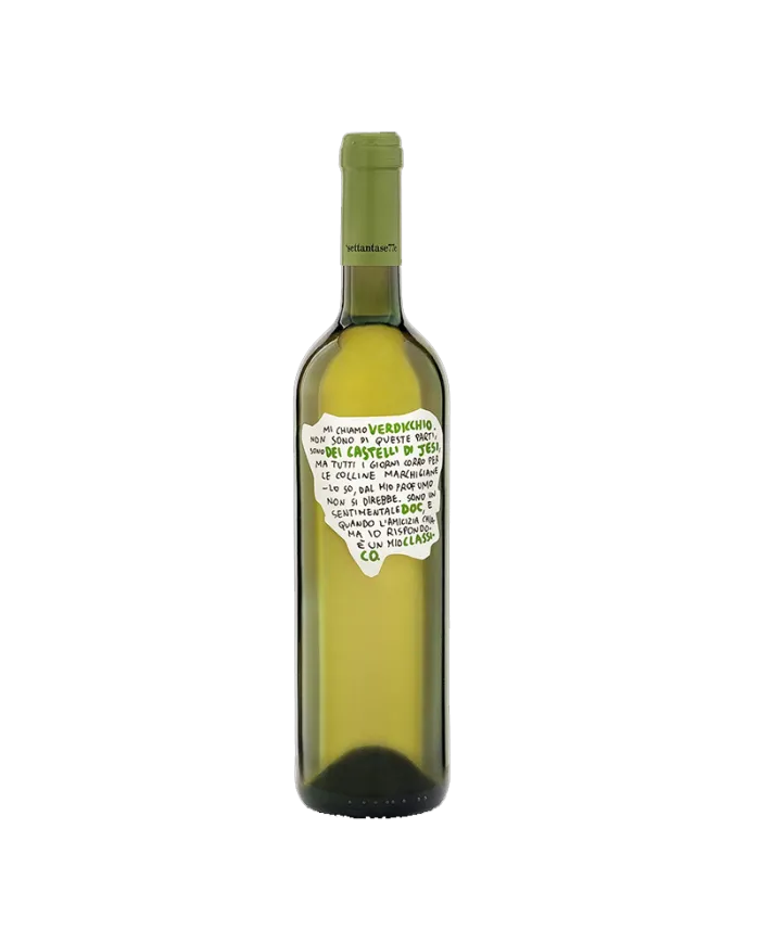Verdicchio dei Castelli di Jesi DOC Classico 2020 Linea settantase77e - Cantina Dei Colli Ripani