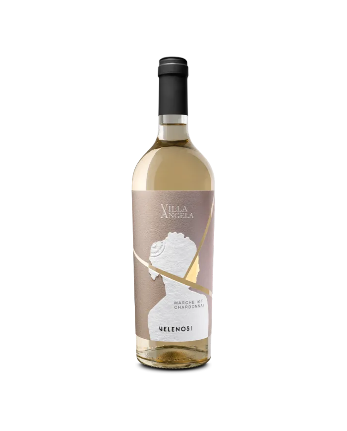 Villa Angela Chardonnay Marche IGT 2023 - Velenosi