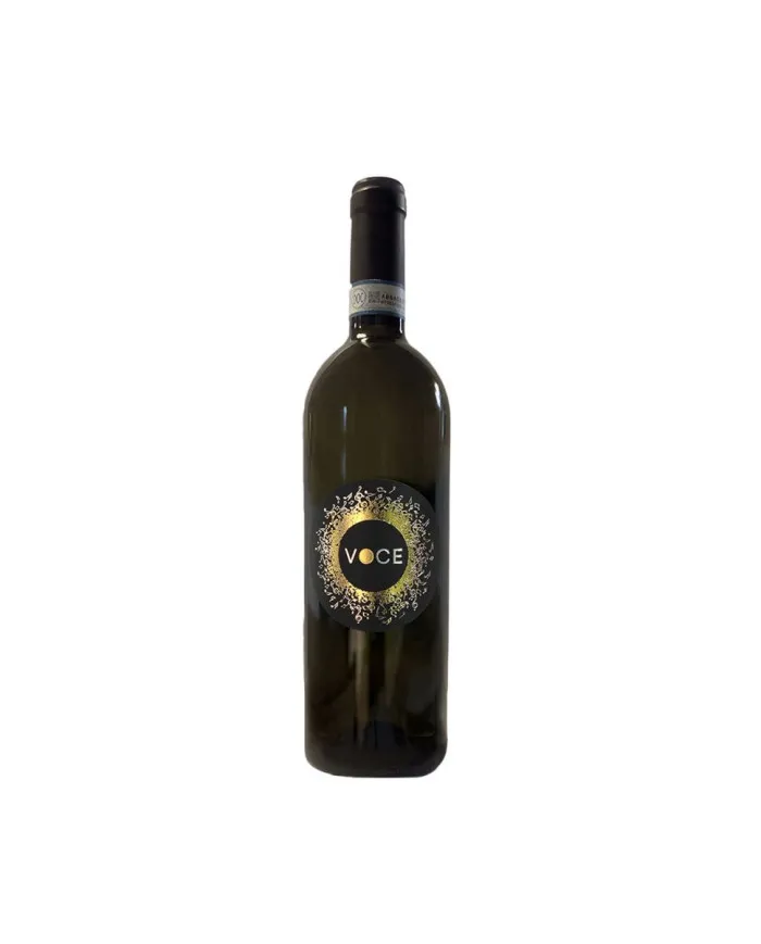 Voce Pinot Grigio DOC delle Venezie 2016 - Red Canzian