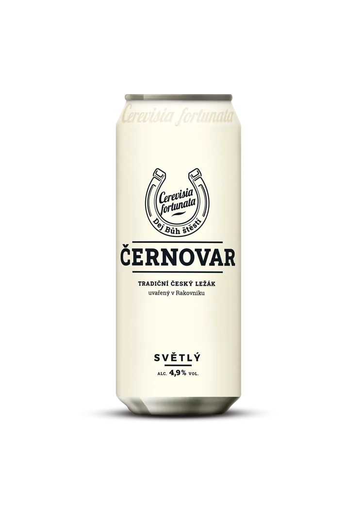 CERNOVAR SVETLY Lezak Palette 24 x 0,5l Dosenbier