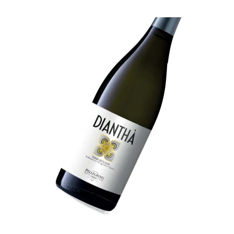 CARLO PELLEGRINO Dianthà 2024 IGT