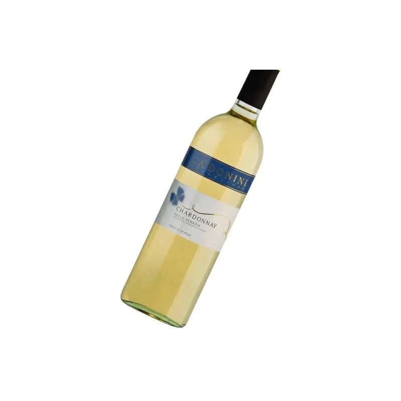 DONINI Chardonnay delle Venezie 2024 IGT