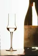 Glas Grappa (2. Wahl)